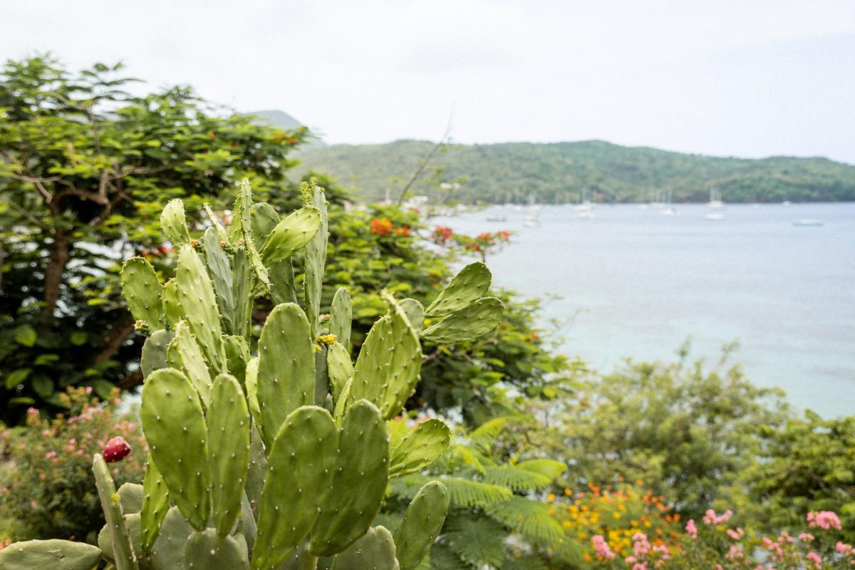 Location villa 7 chambres Anses Arlet Martinique - Vue mer